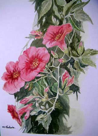 christine_aquaralle1