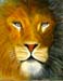 laurence_lion.jpg